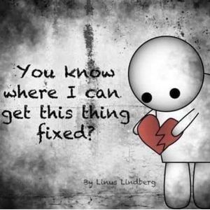 Meet your Posher, Sammy